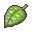 type-plante